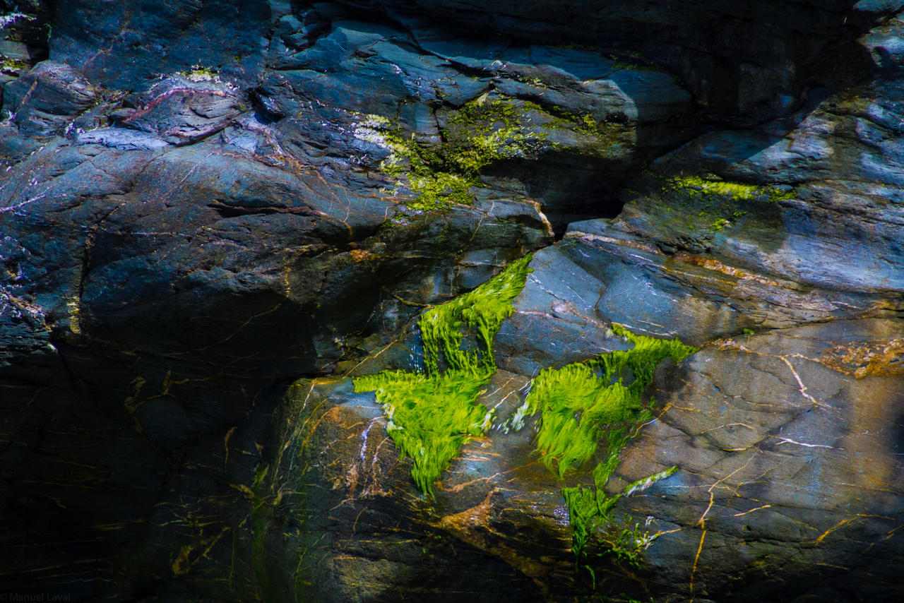 Drewsy Rocks Rocks #1 by DurasMox on DeviantArt