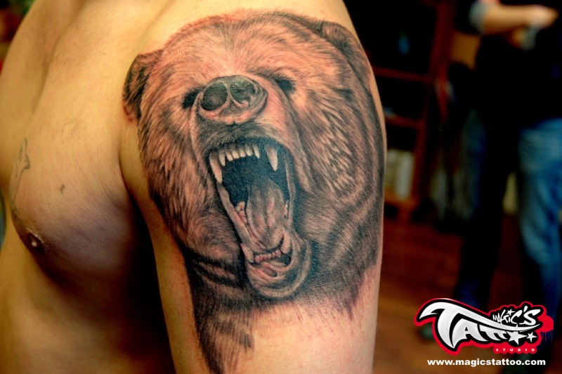 BEAR TATTOO ,  IRELAND