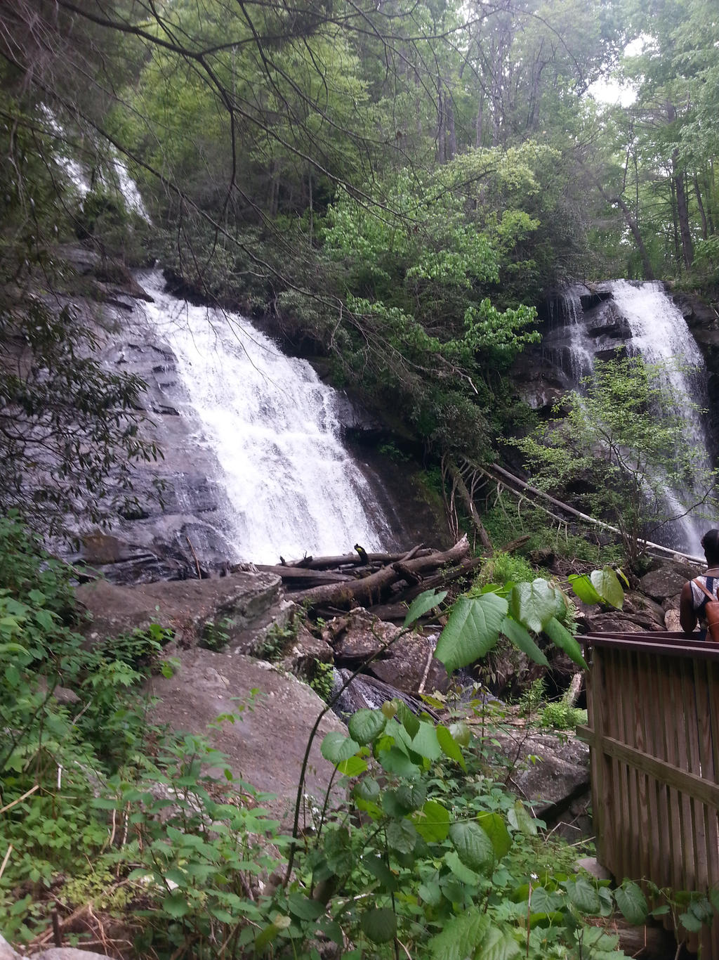 Anna Ruby Falls