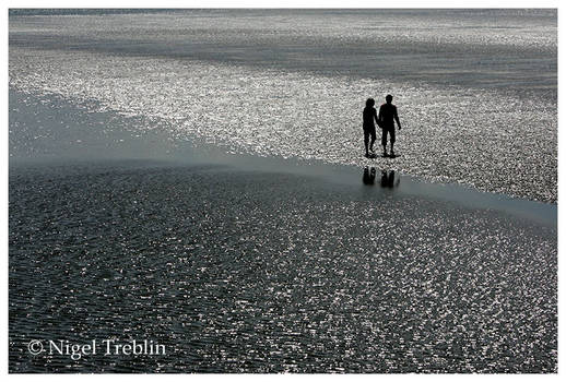 Walk in the wadden sea