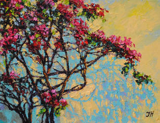 Bougainvillea. by herrerojulia