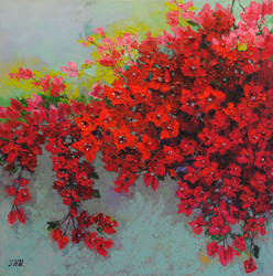 Bougainvillea. by herrerojulia