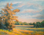 Autumn afternoon. by herrerojulia