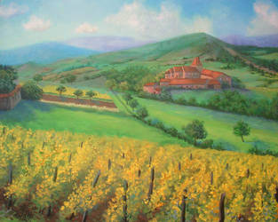 Grape country. by herrerojulia