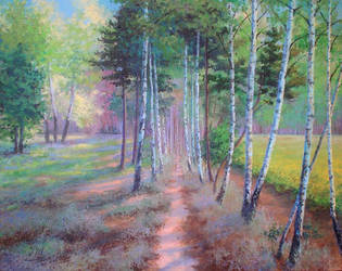 Birches path. by herrerojulia