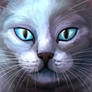 Bluestar