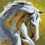 horse study