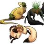 two flowers, one grass