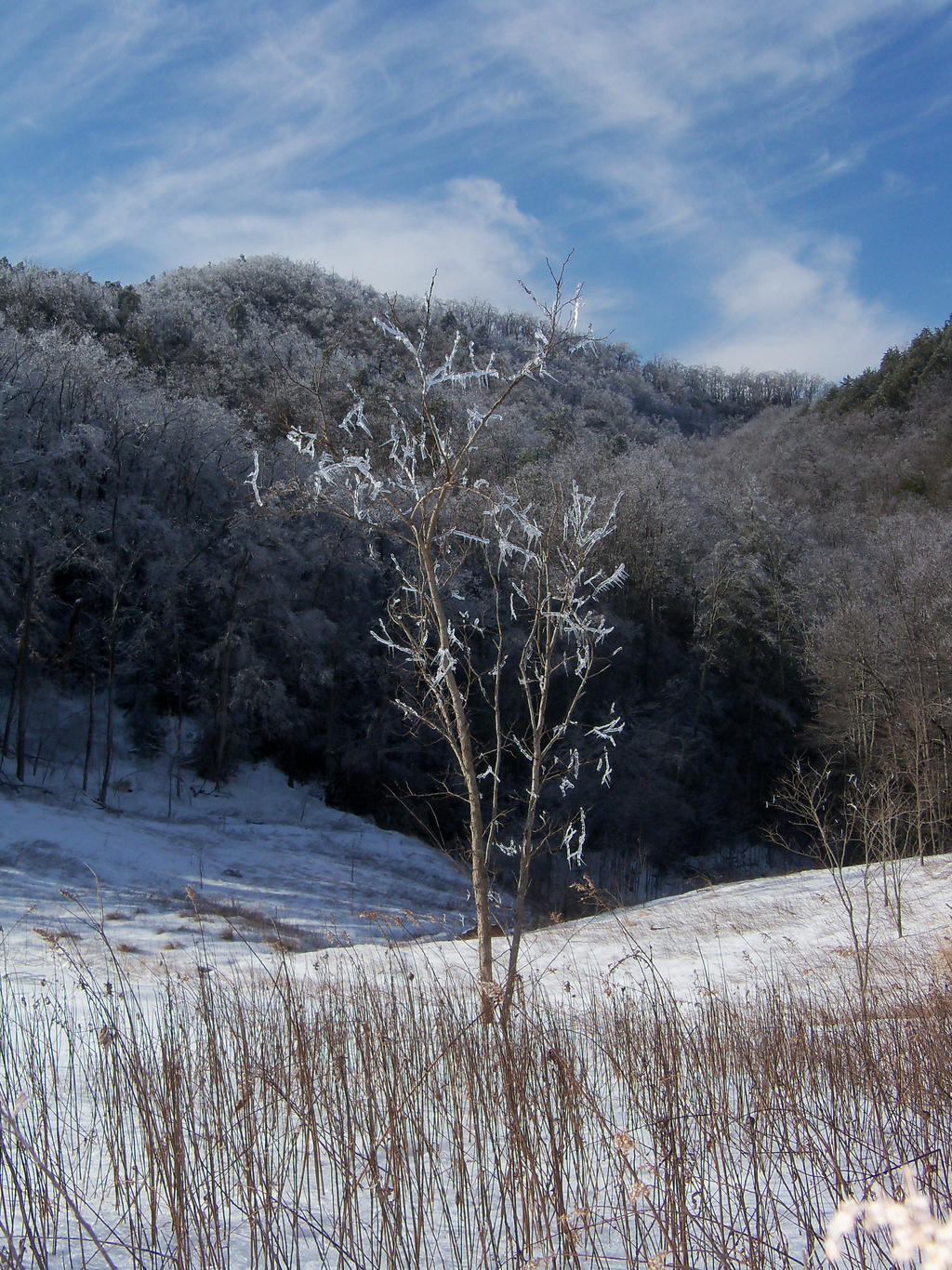 Frozen Sparkles