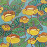 Yellow water Lilies