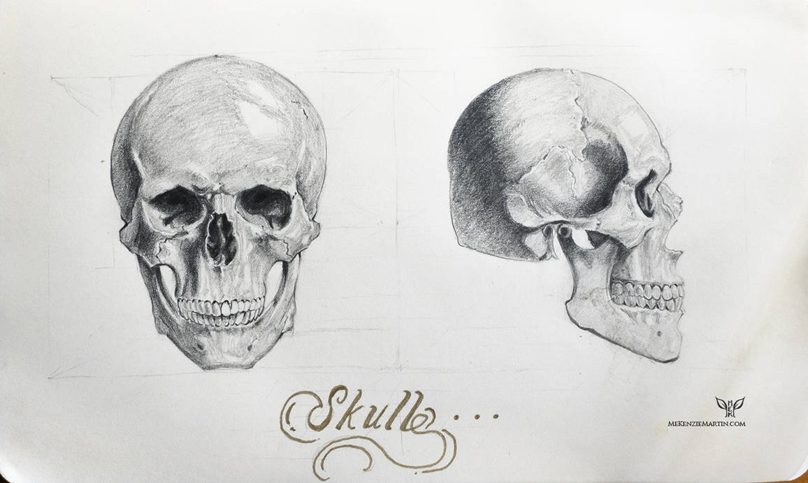 Study: Skull 2 by DM7