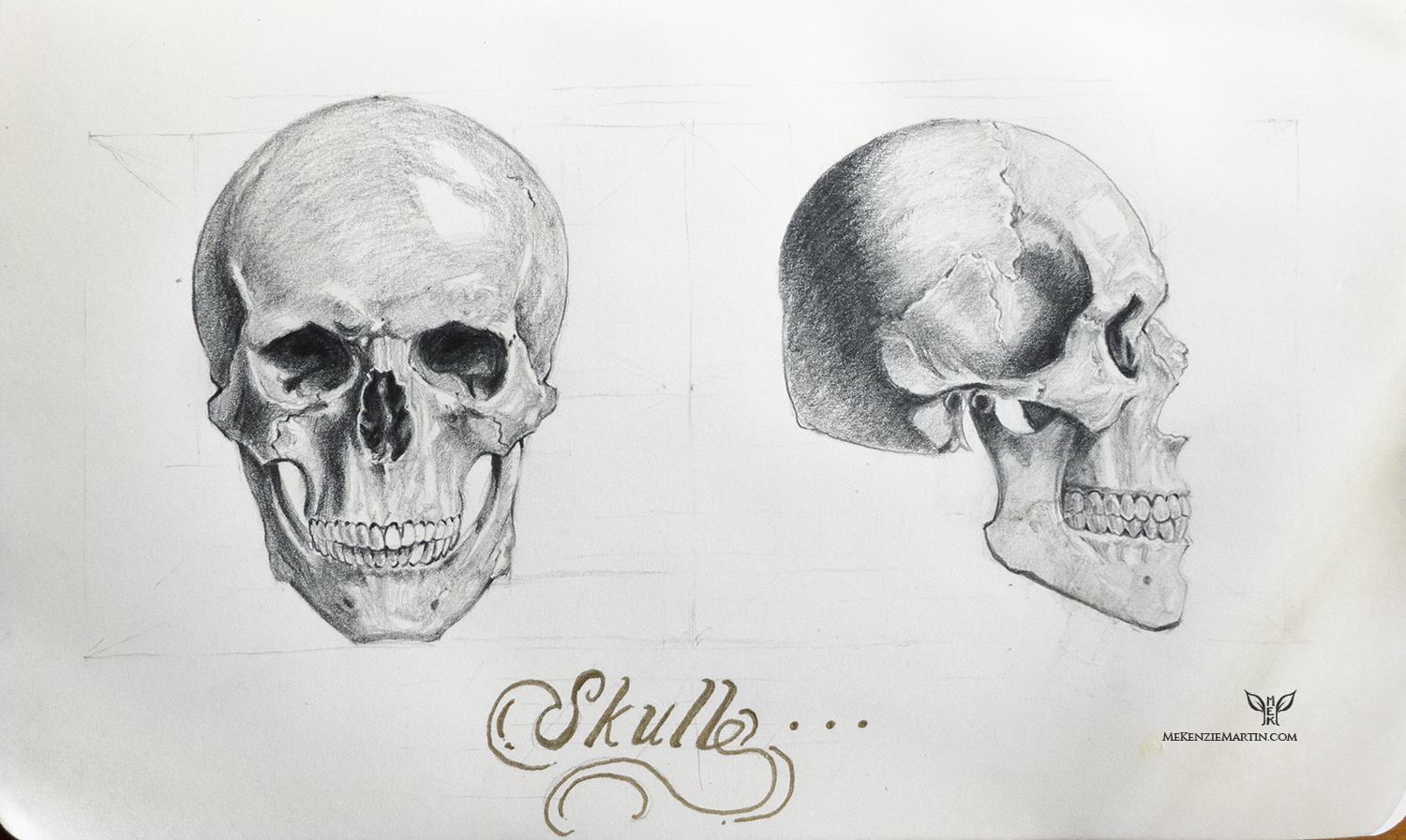 Study: Skull 2 by DM7