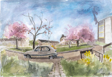 Urban Sketching: Pink Flowering Trees by DM7