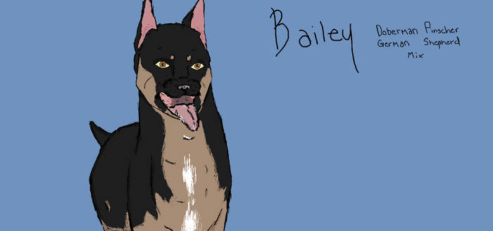 Bailey