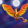 Cyra-Wings of FIre oc
