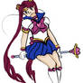 The New Sailor Moon