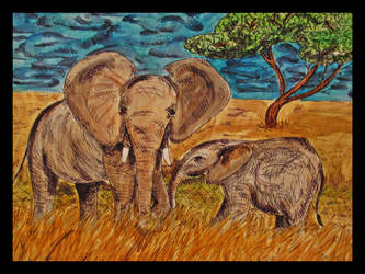 Elephants