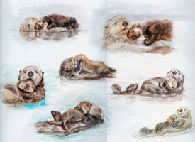 Otters