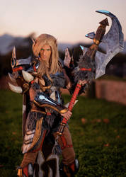 Why Do We Fight? - Blood Elf Warrior Cosplay by Imriel87