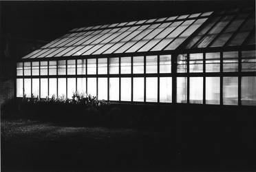 BGSU Greenhouse