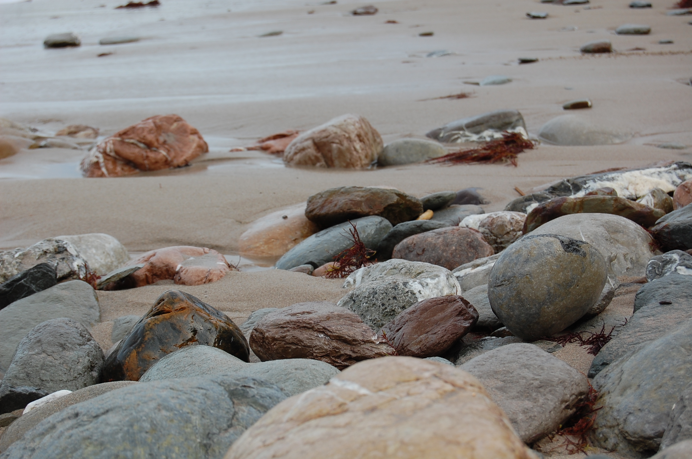 Bord de mer automnal..