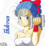 Fitness Bulma