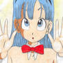 Bunny Bulma 2