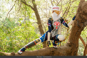 Sheik of Hyrule Warriors