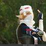 Sheik of Hyrule Warriors