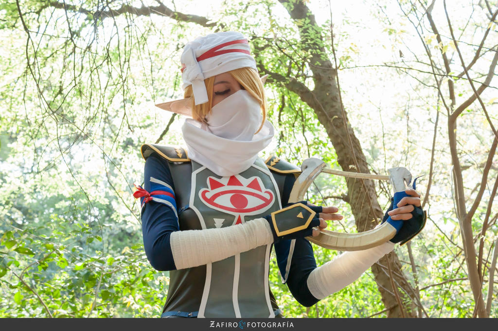 Sheik of Hyrule Warriors