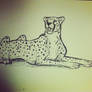 cheetah sketch