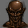 Dark Elf