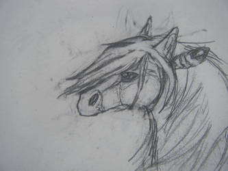 White horse sketch