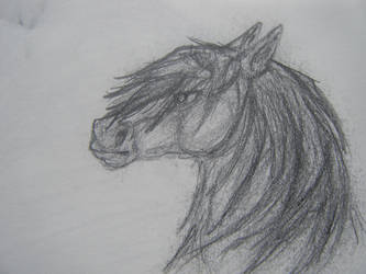 Dark Horse Sketch