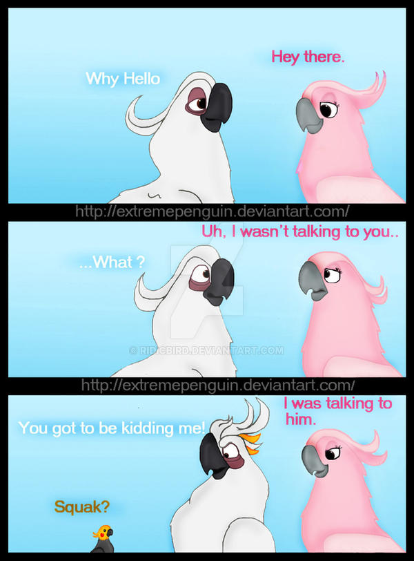 Ridicbird Deviantart Rio The Ladykiller by RidicBird on DeviantArt