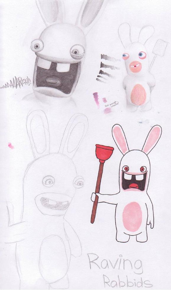 Rabbids - practice work