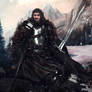 Brandon Stark - The Wild Wolf.