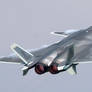 Chengdu J-20A Firefang