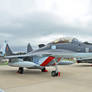 Mikoyan MiG-29KR Fulcrum-D