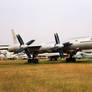 Tupolev Tu-95 Bear-A