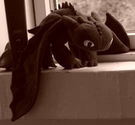 Toothless Plush (After adding more stuffing)