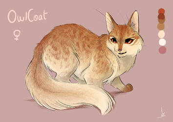 OwlCoat : mini ref