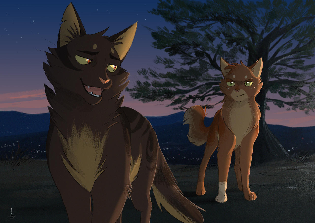 A Lovely Night Warrior Cats By Owlcoat On Deviantart A Lovely Night Warrior Cats By Owlcoat On Deviantart