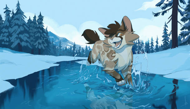 Commission | Morning Swim