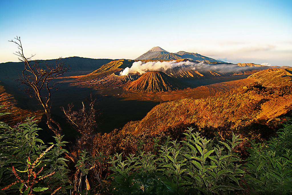 Bromo30 by danusagoro Bromo30 by danusagoro