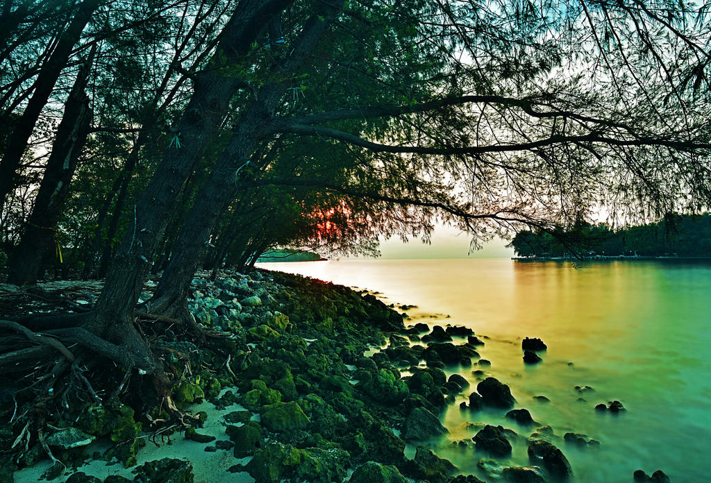 Dolphin Island 2 by danusagoro Dolphin Island 2 by danusagoro