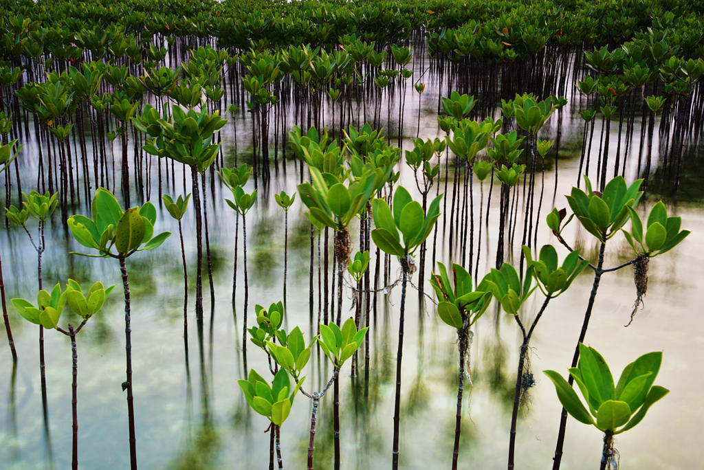 Harapan island 1 by danusagoro Harapan island 1 by danusagoro