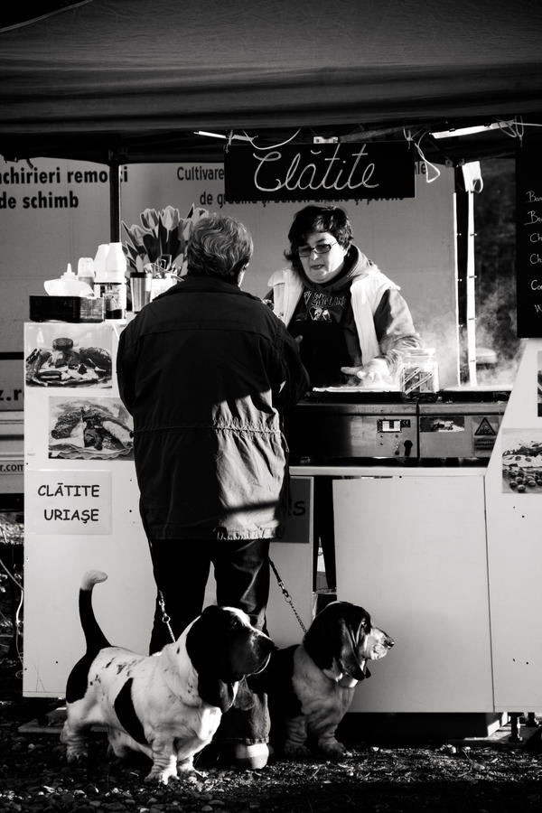 Guardians Of The Pancake Tower