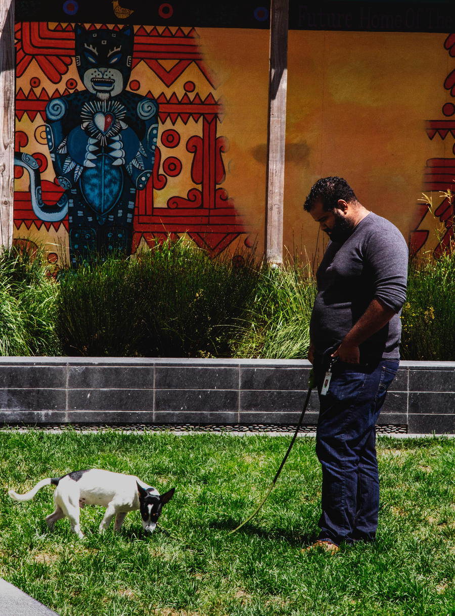 I Put A Spell On You