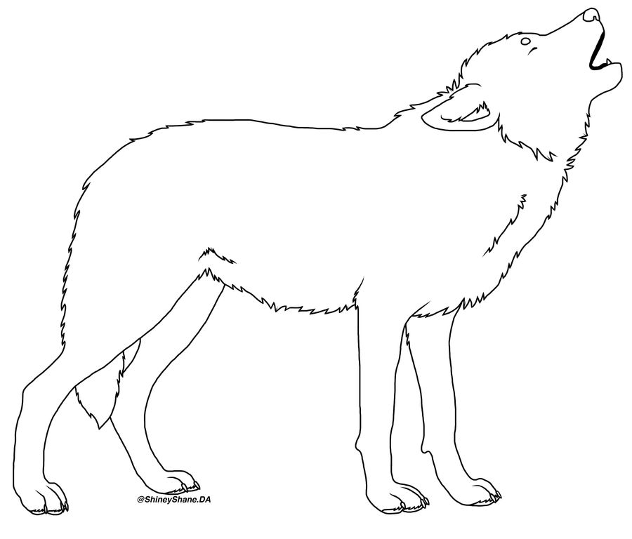 Free Wolf Template by drunkdrawings on DeviantArt